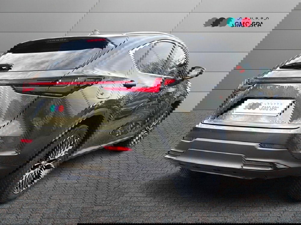 Lexus NX usata a Firenze (3)