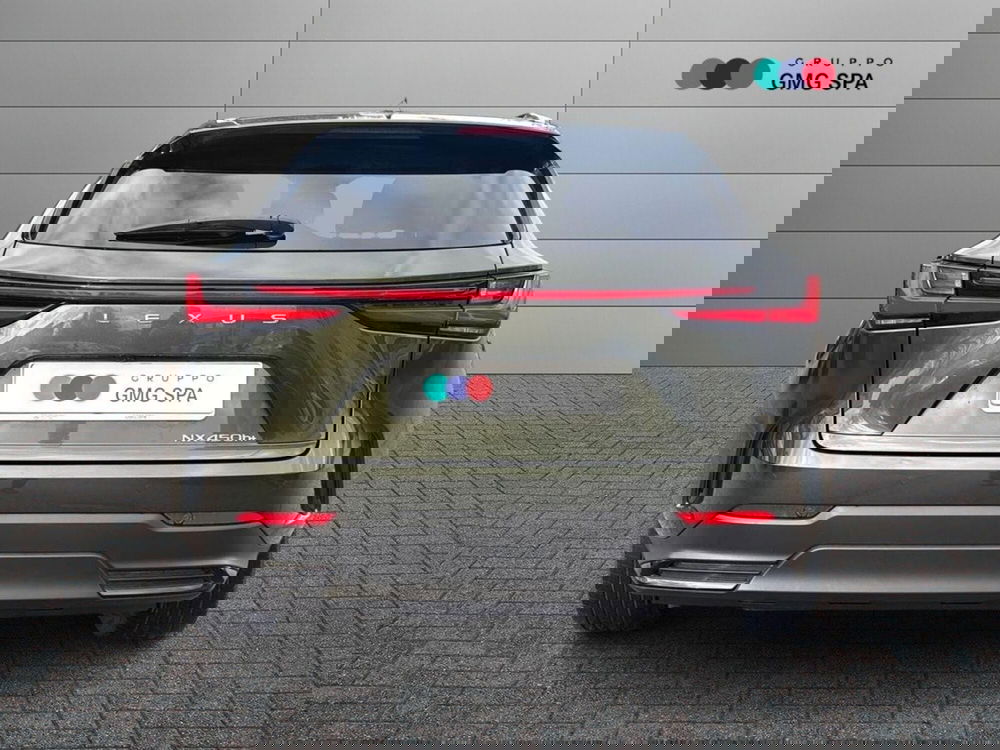 Lexus NX usata a Firenze (4)