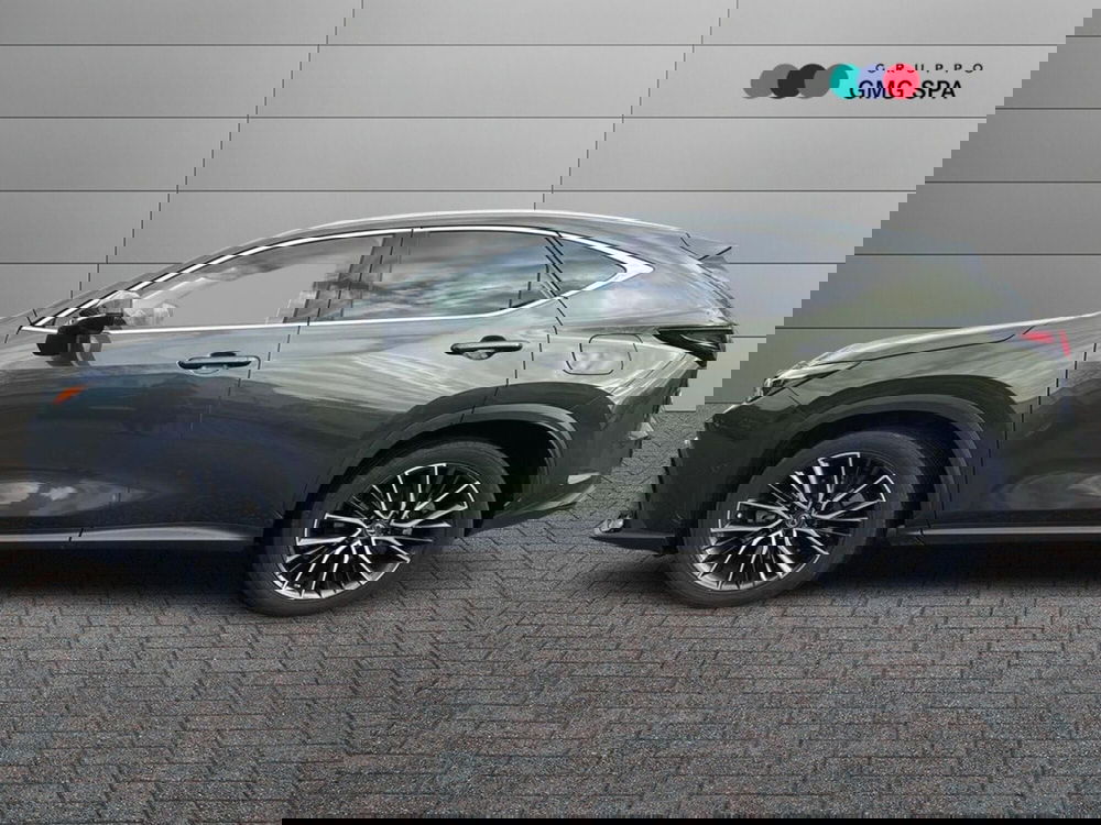 Lexus NX usata a Firenze (5)