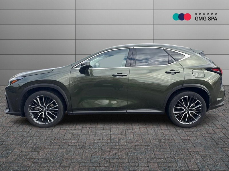 Lexus NX usata a Firenze (5)