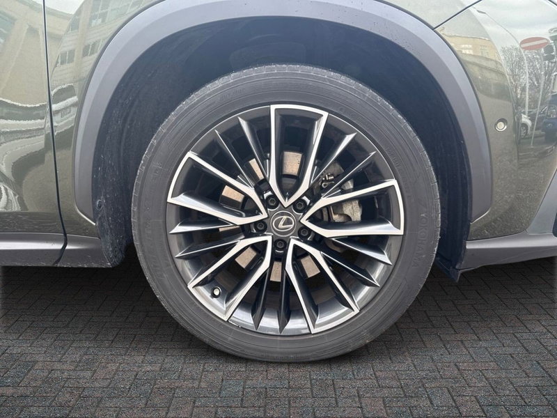 Lexus NX usata a Firenze (6)