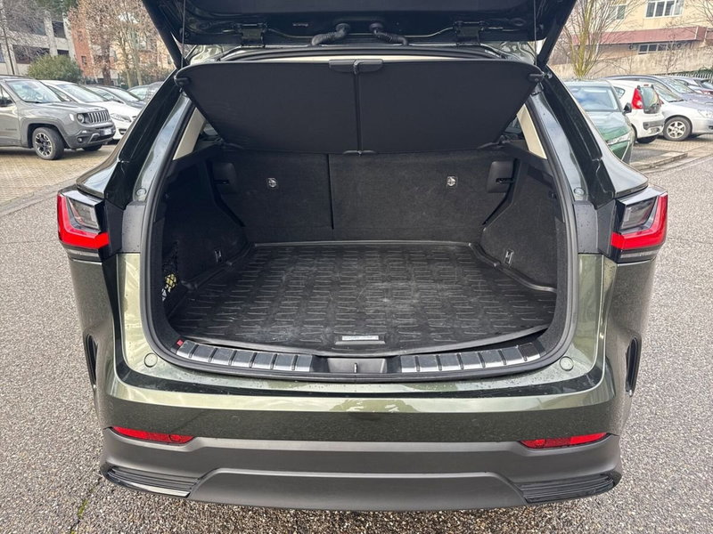 Lexus NX usata a Firenze (8)