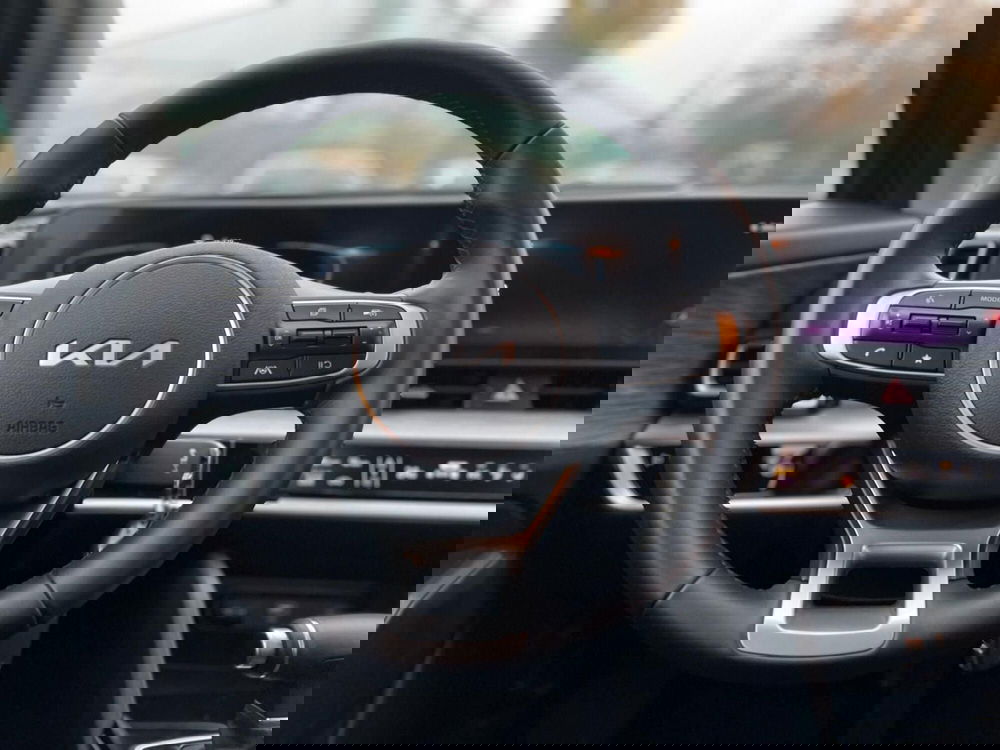 Kia Sportage usata a Ancona (11)