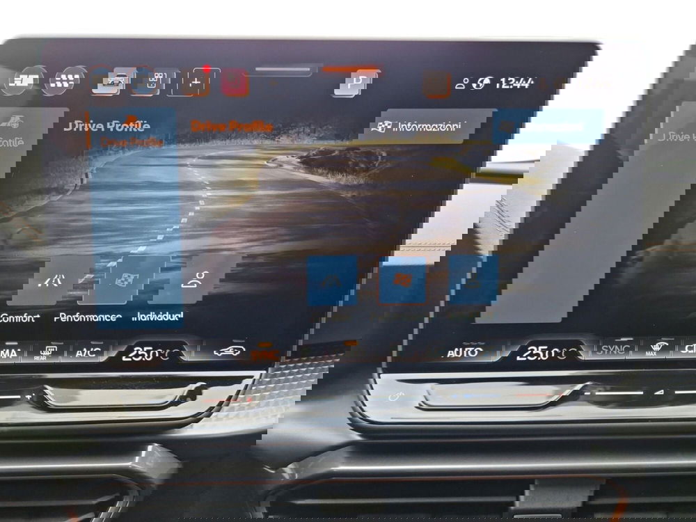 Cupra Formentor usata a Siena (14)