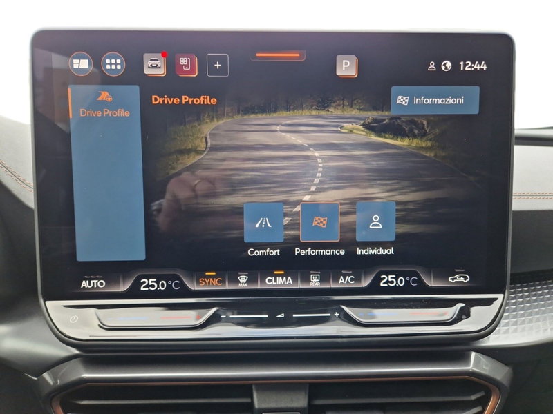 Cupra Formentor usata a Siena (14)