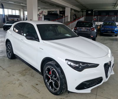 Alfa Romeo Stelvio 2.2 t Veloce Q4 210cv auto del 2024 usata a Orvieto