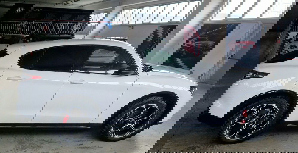 Alfa Romeo Stelvio usata a Terni (6)
