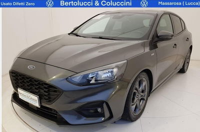 Ford Focus 1.5 EcoBlue 120 CV 5p. Business del 2019 usata a Massarosa