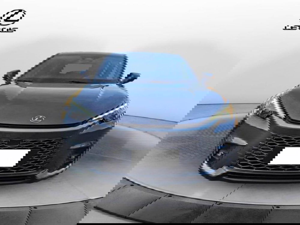 Lexus LBX usata a Torino (2)