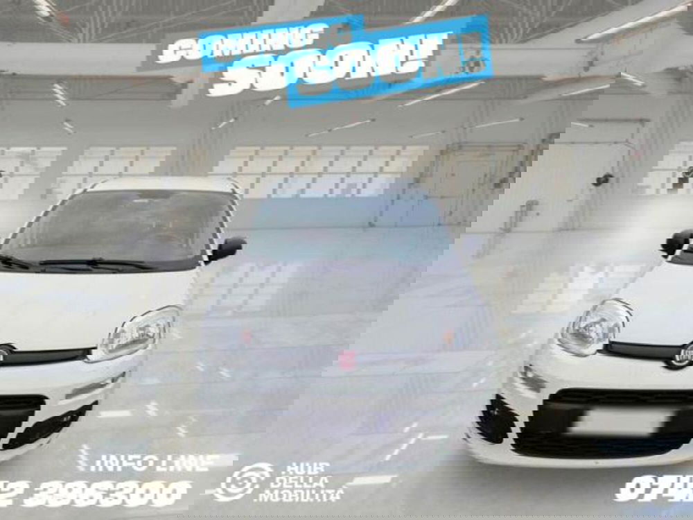 Fiat Panda usata a Perugia