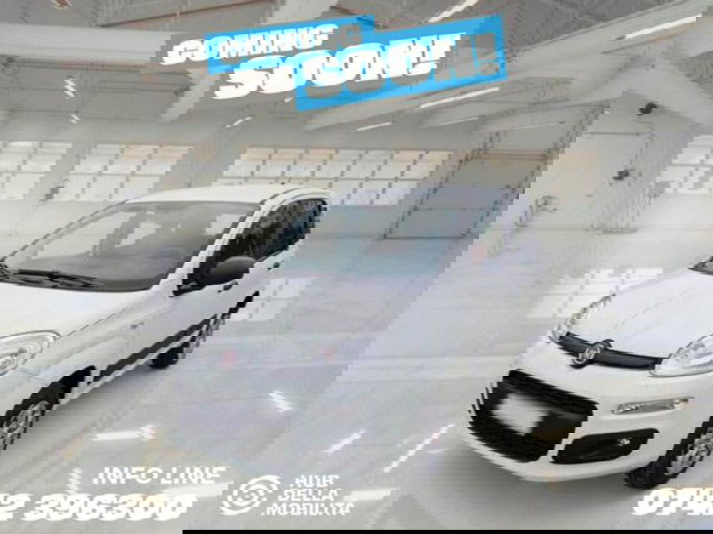 Fiat Panda usata a Perugia (2)