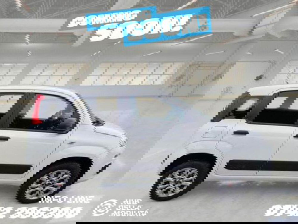 Fiat Panda usata a Perugia (3)