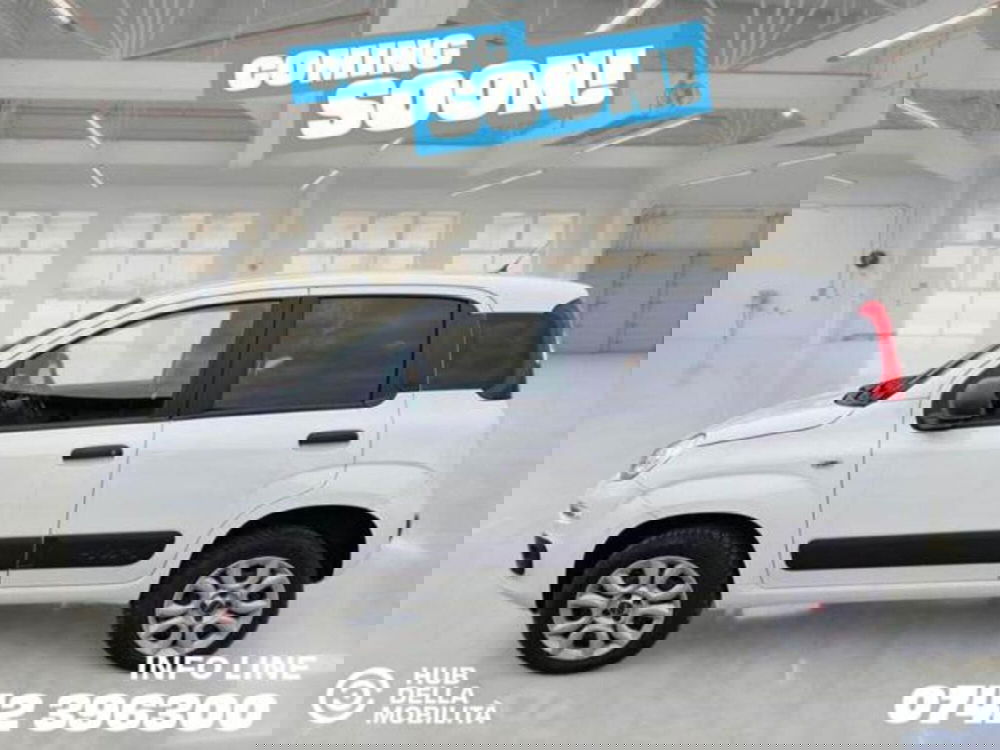 Fiat Panda usata a Perugia (4)