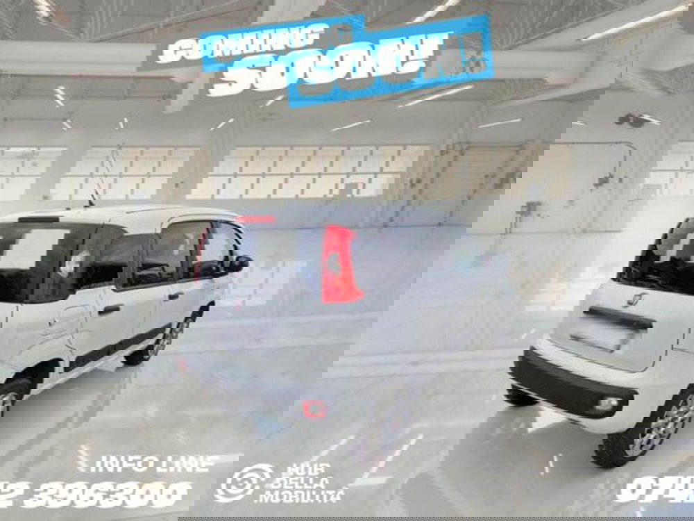 Fiat Panda usata a Perugia (5)