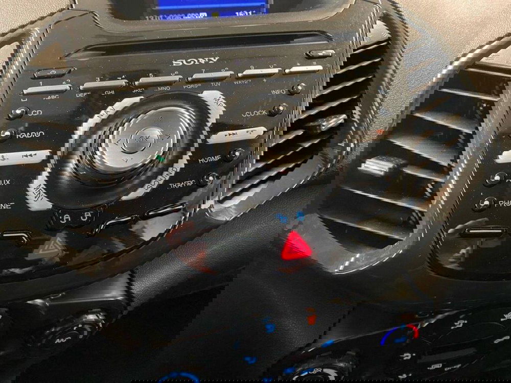 Ford EcoSport usata a Torino (10)