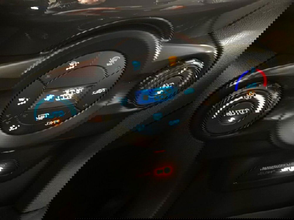 Ford EcoSport usata a Torino (11)