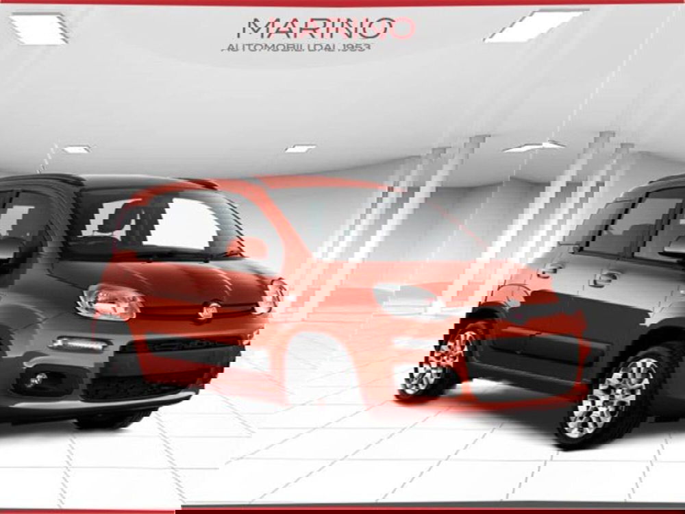 Fiat Panda usata a Bari