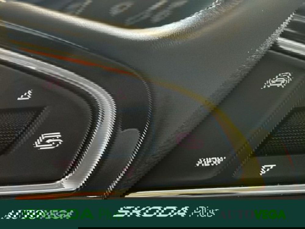 Skoda Fabia usata a Vicenza (13)