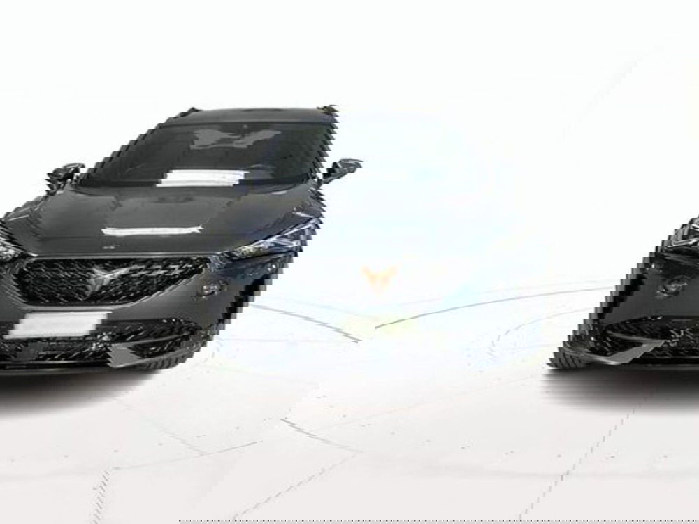 Cupra Formentor usata a Vicenza (2)