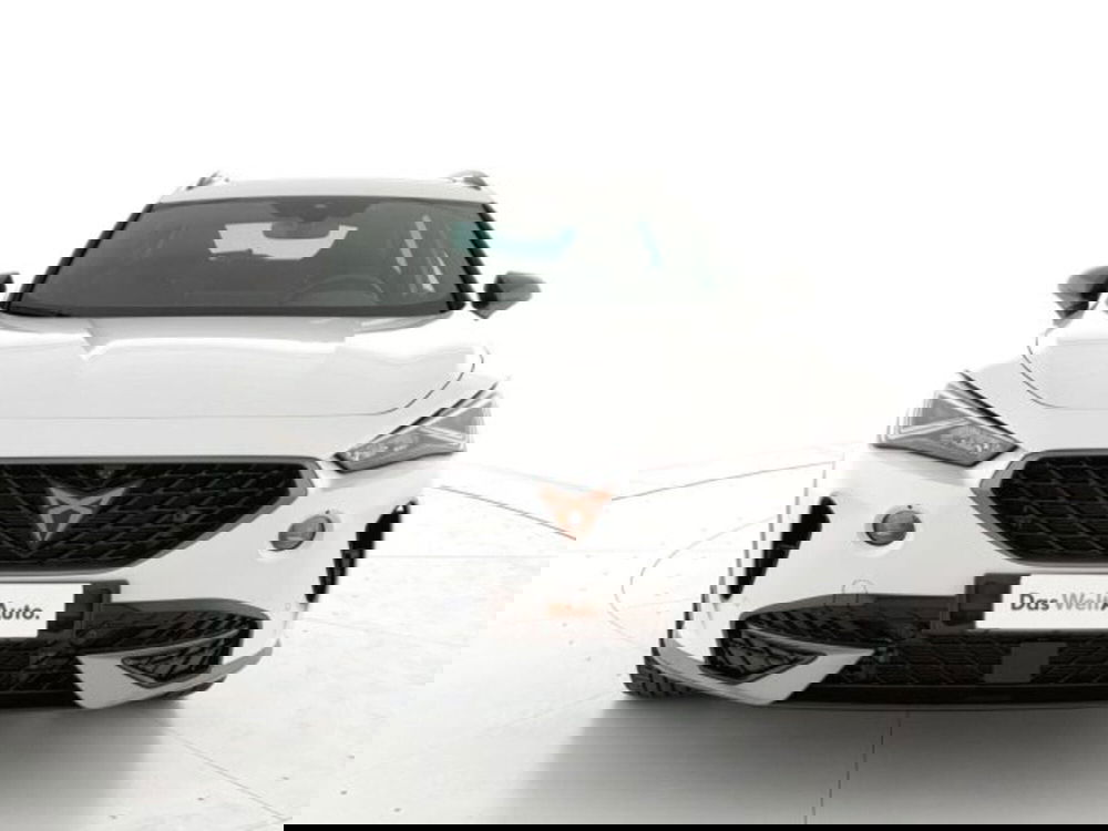 Cupra Formentor usata a Vicenza (2)