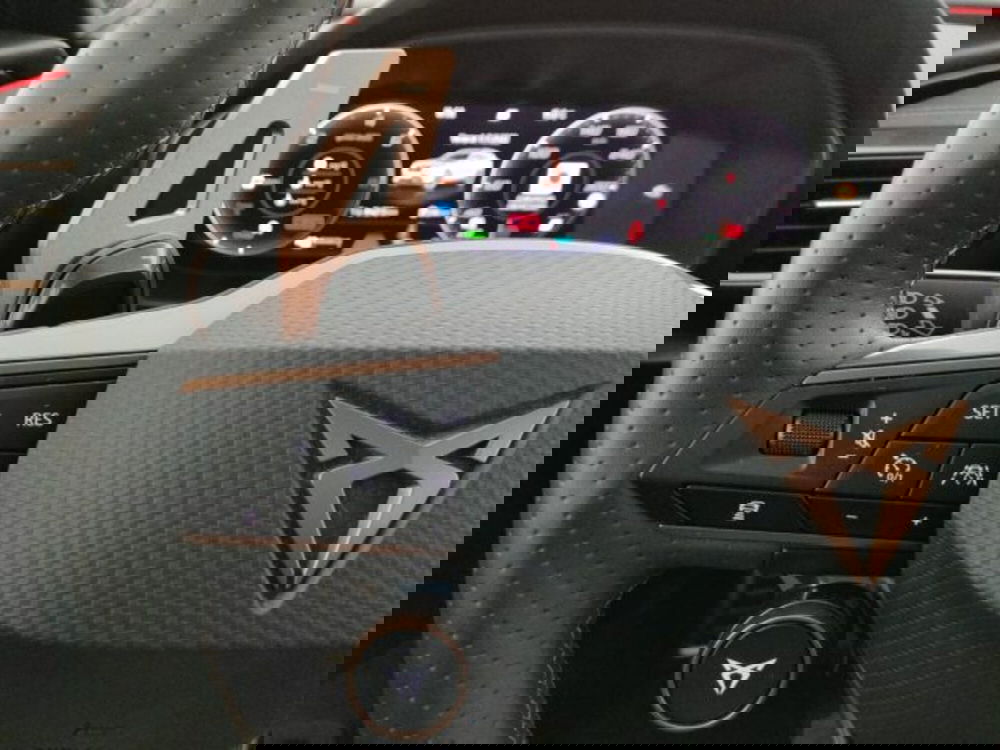 Cupra Formentor usata a Vicenza (20)