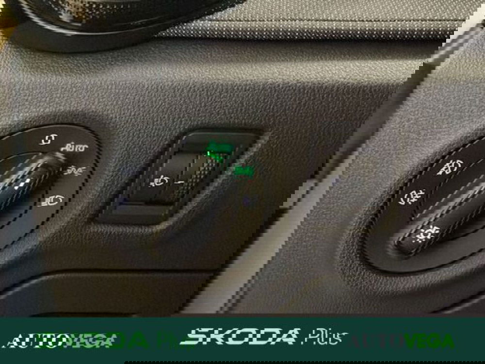 Skoda Fabia usata a Vicenza (17)