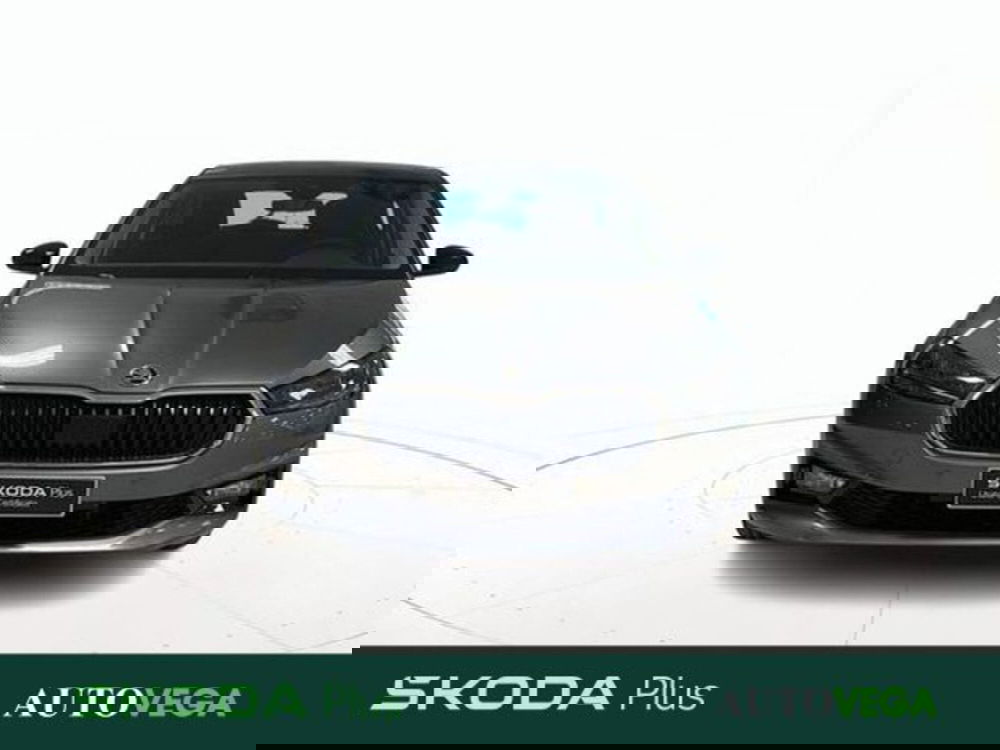 Skoda Fabia usata a Vicenza (2)