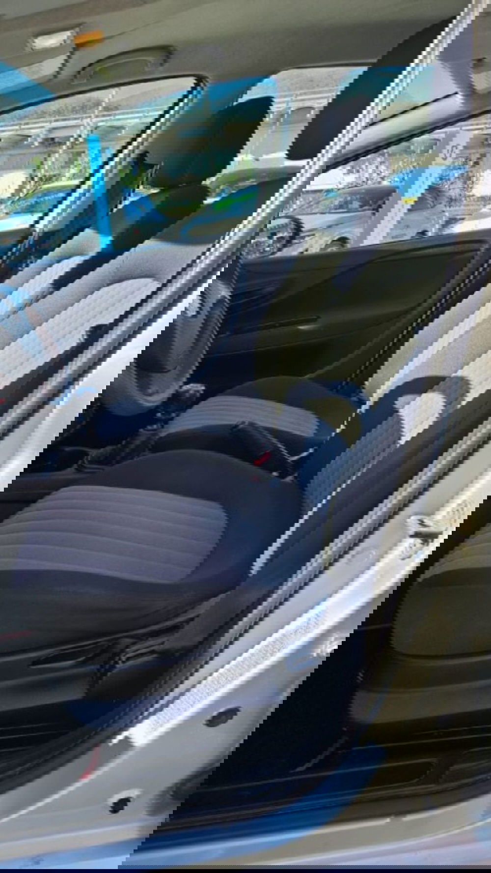 Fiat Punto usata a Lucca (10)