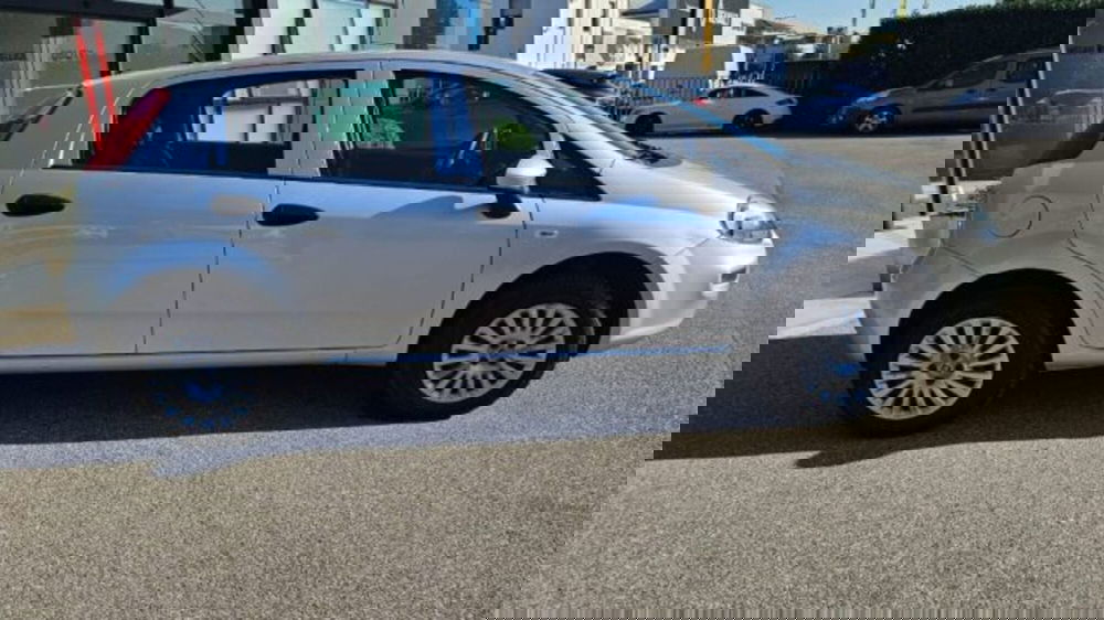 Fiat Punto usata a Lucca (3)