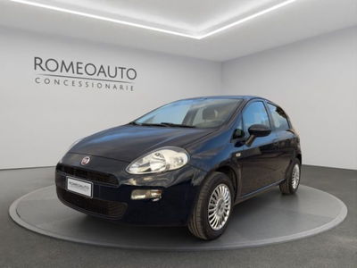 Fiat Punto 1.2 8V 5 porte Lounge del 2015 usata a Gubbio