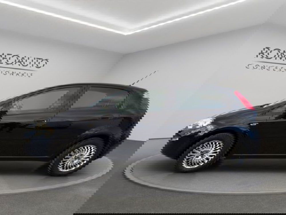 Fiat Punto usata a Perugia (3)