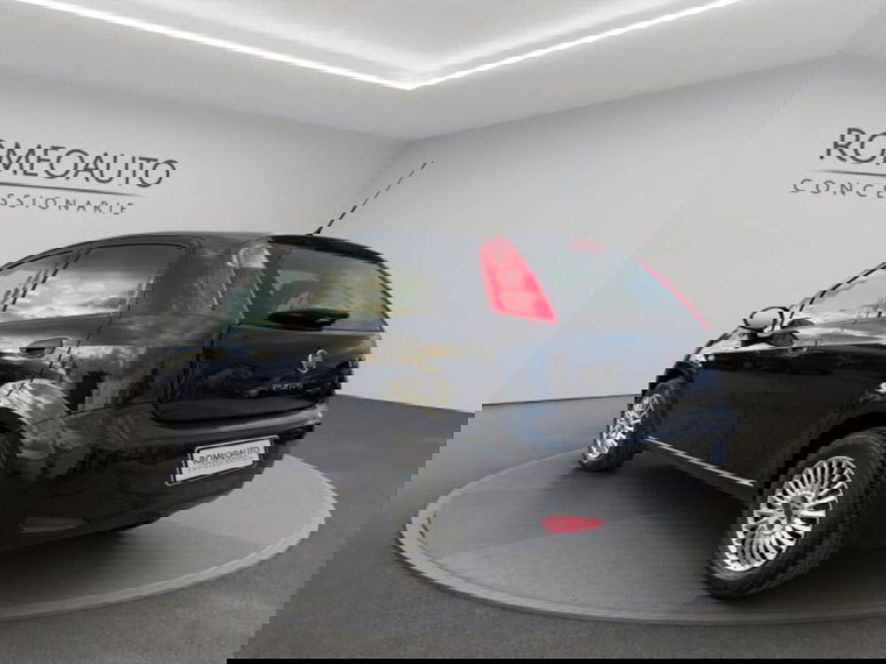 Fiat Punto usata a Perugia (4)