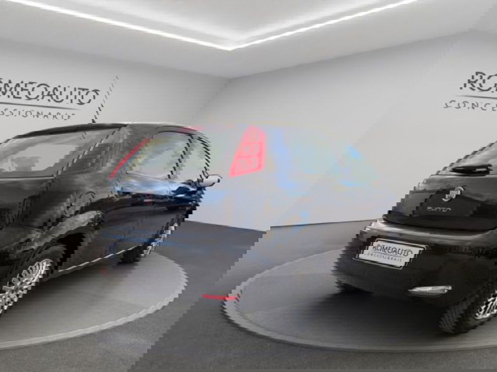 Fiat Punto usata a Perugia (6)