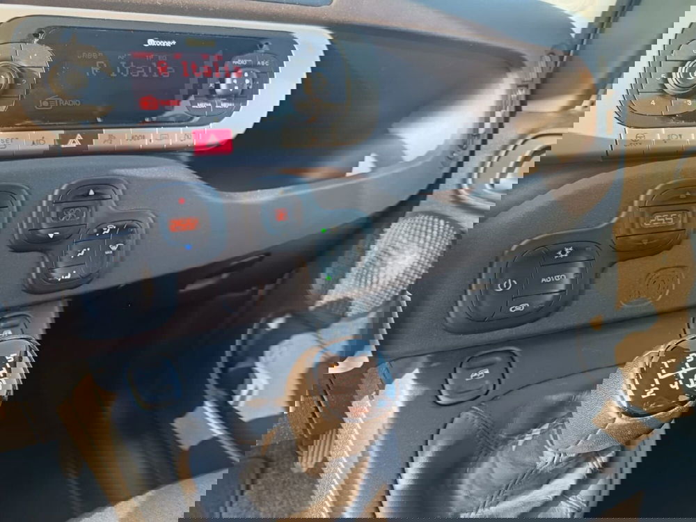 Fiat Panda Cross usata a Alessandria (20)