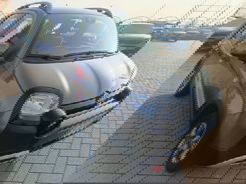 Fiat Panda Cross usata a Alessandria (4)