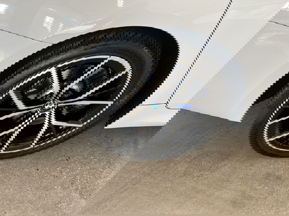 BMW Serie 5 Touring usata a Torino (14)