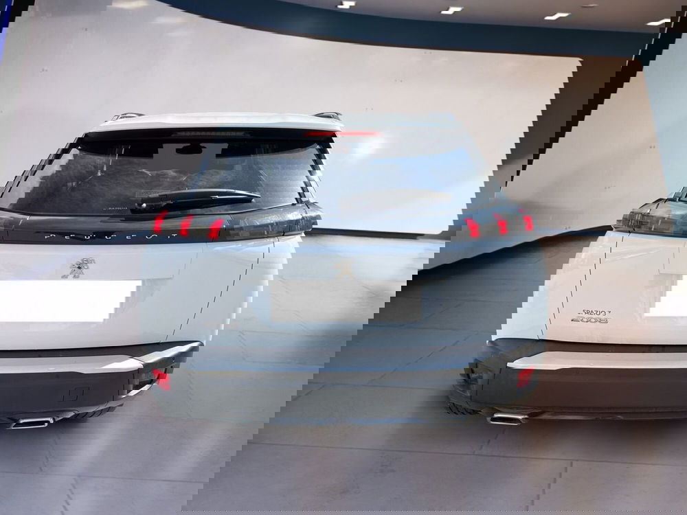 Peugeot 2008 usata a Torino (6)