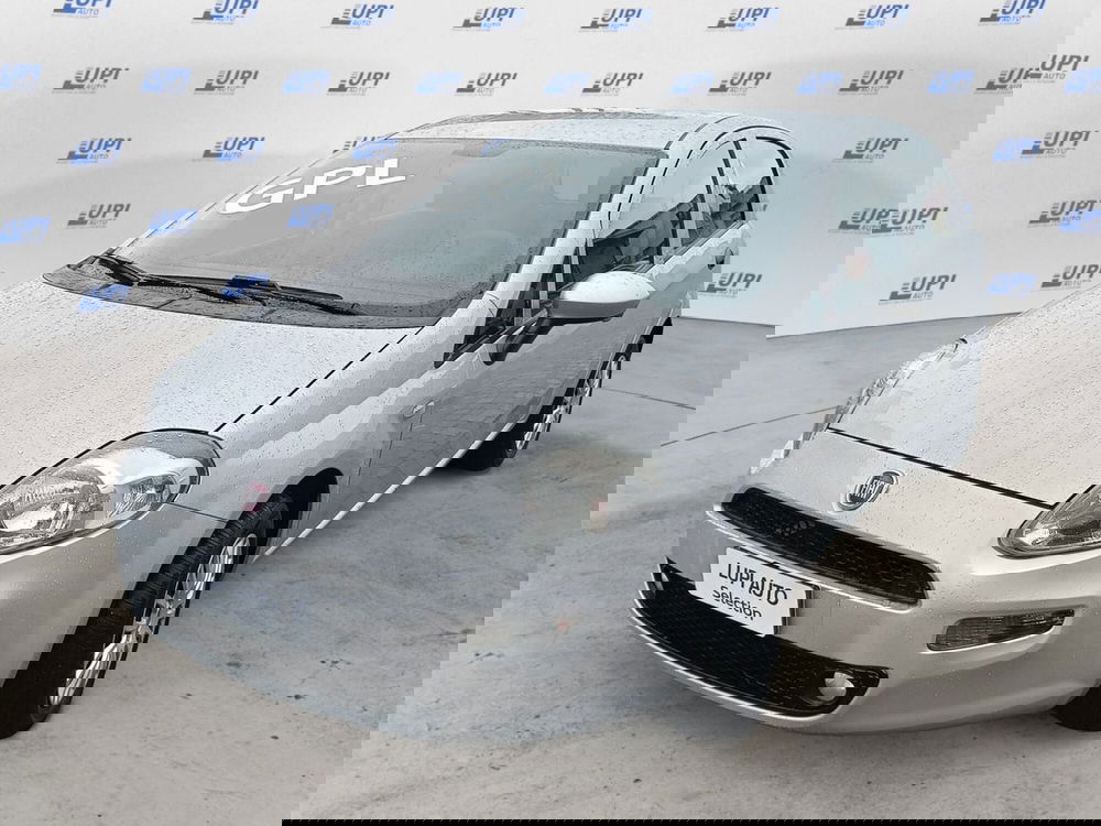 Fiat Punto usata a Prato