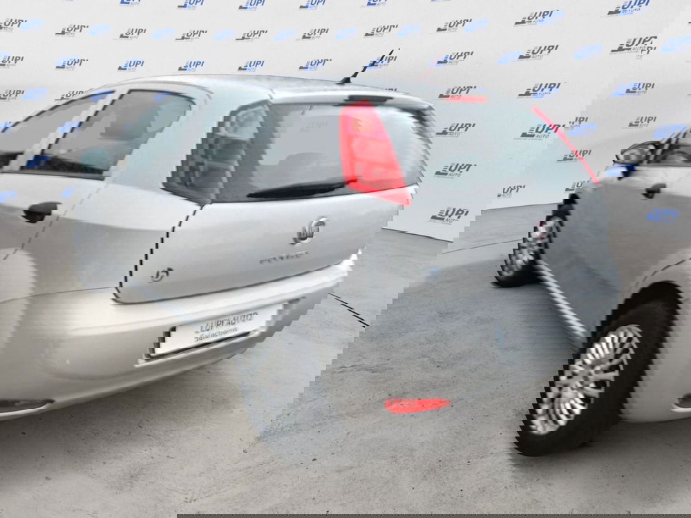 Fiat Punto usata a Prato (5)