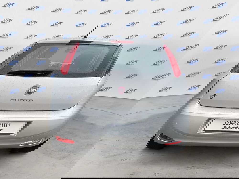 Fiat Punto usata a Prato (6)