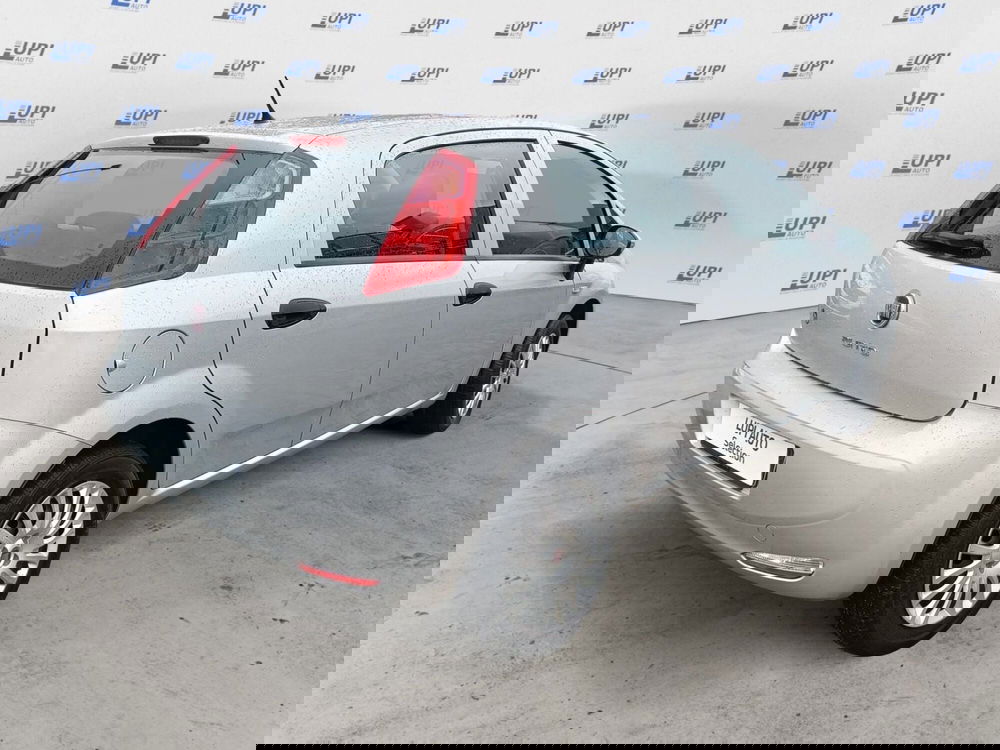 Fiat Punto usata a Prato (7)