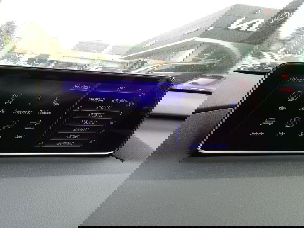 Lexus RX usata a Treviso (19)