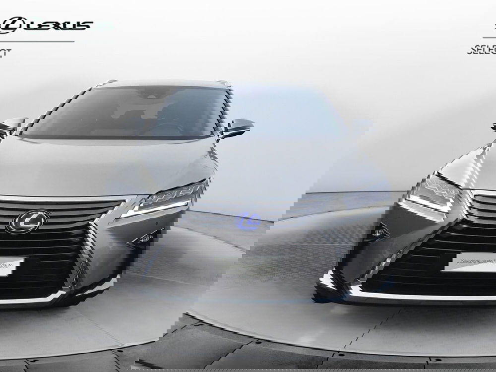 Lexus RX usata a Treviso (2)