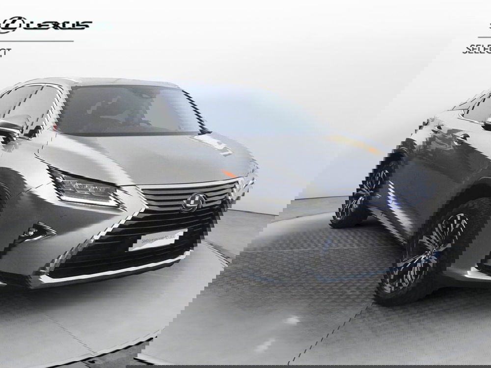 Lexus RX usata a Treviso (3)