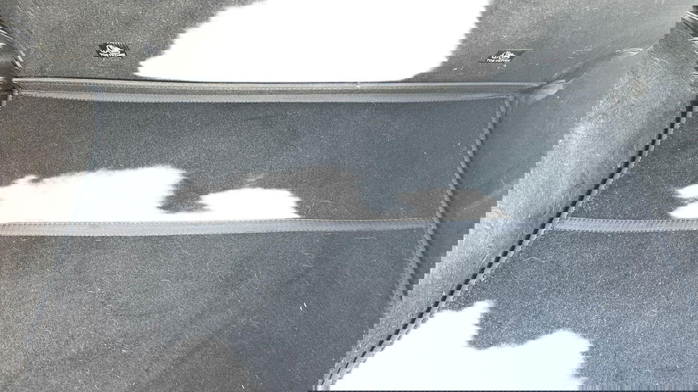 Dacia Spring usata a Viterbo (15)