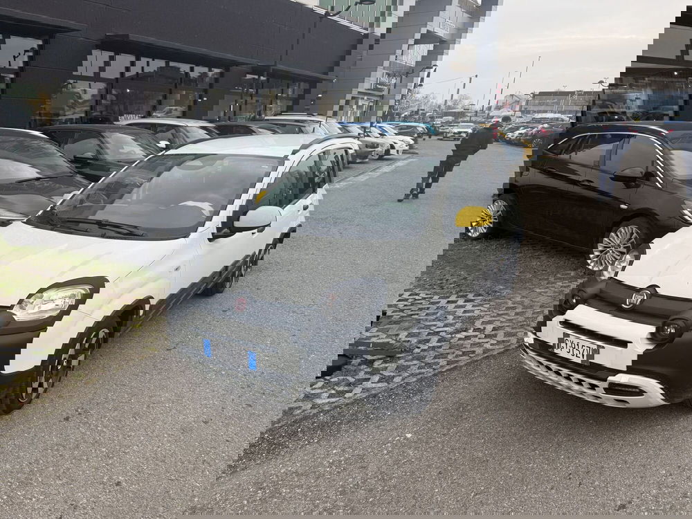 Fiat Panda Cross usata a Reggio Emilia (2)