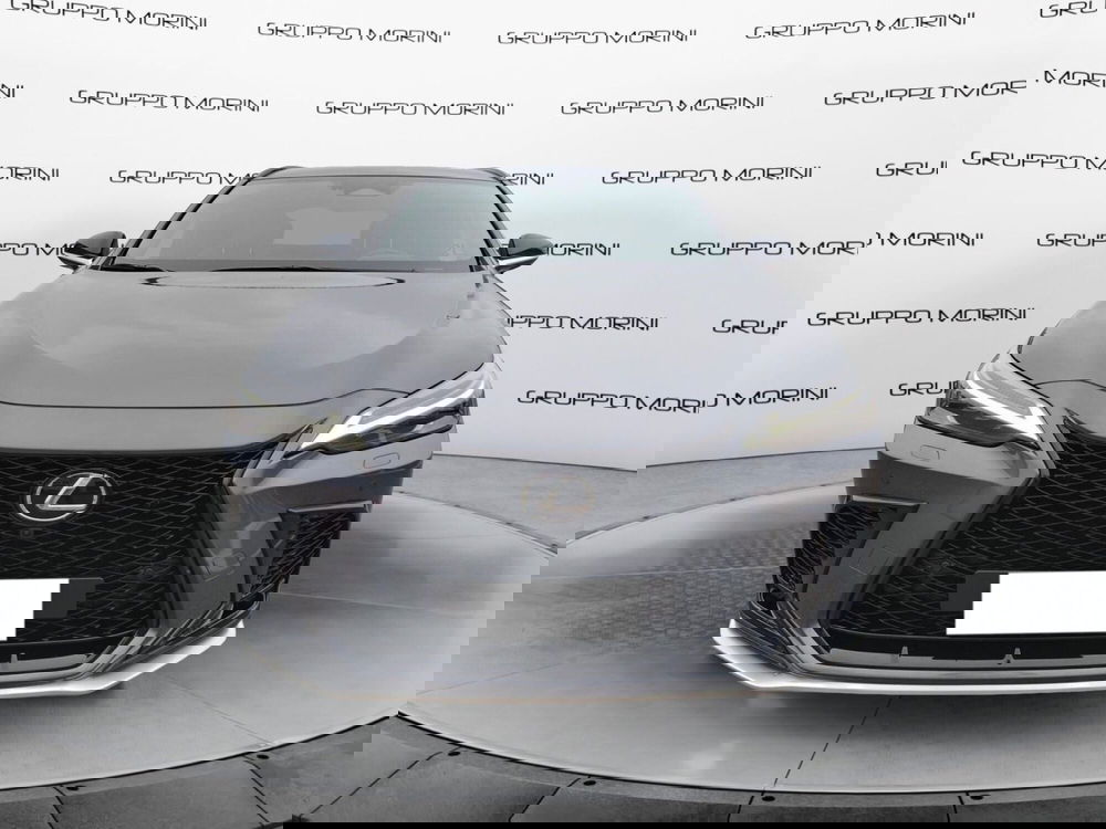 Lexus NX usata a Modena (2)