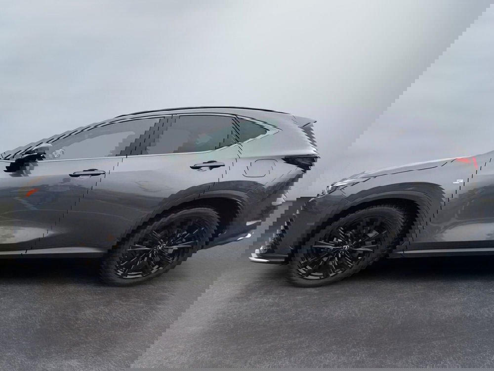 Lexus NX usata a Modena (3)