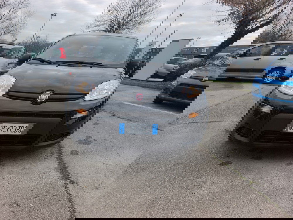 Fiat Panda usata a Frosinone