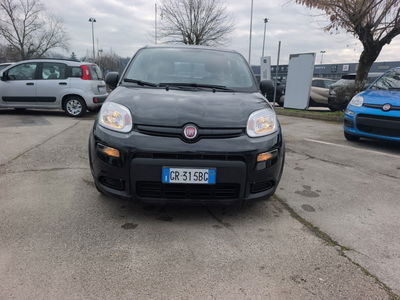 Fiat Panda 1.0 firefly hybrid s&amp;s 70cv 5p.ti del 2023 usata a Ceccano